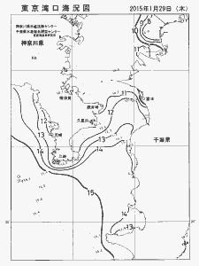 東京湾口海況図(2015/01/29)