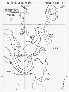 東京湾口海況図(2015/01/31)