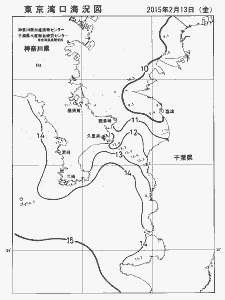 東京湾口海況図(2015/02/13)