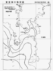 東京湾口海況図(2015/02/20)