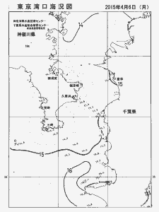 東京湾口海況図(2015/04/06)