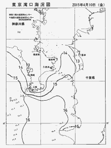 東京湾口海況図(2015/04/10)