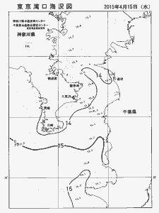 東京湾口海況図(2015/04/15)