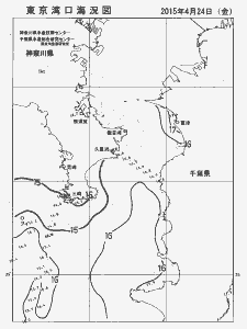 東京湾口海況図(2015/04/24)