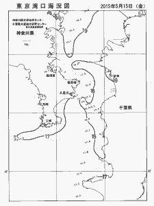東京湾口海況図(2015/05/15)