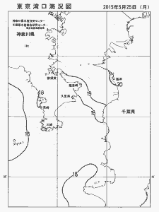 東京湾口海況図(2015/05/25)