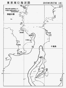東京湾口海況図(2015/05/27)