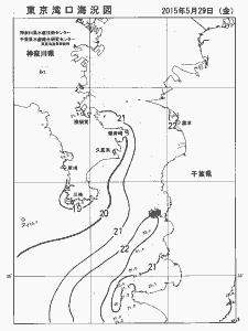 東京湾口海況図(2015/05/29)