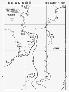 東京湾口海況図(2015/05/31)