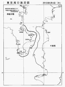 東京湾口海況図(2015/06/04)