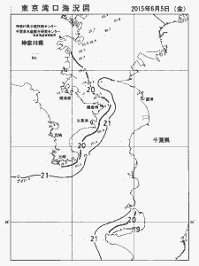 東京湾口海況図(2015/06/05)