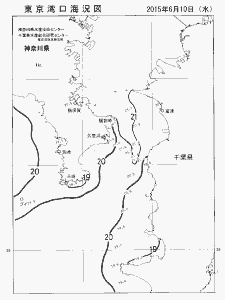 東京湾口海況図(2015/06/10)