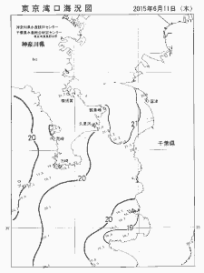 東京湾口海況図(2015/06/11)