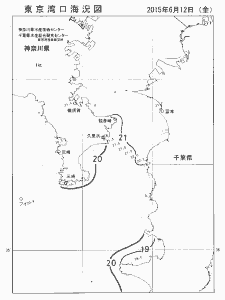 東京湾口海況図(2015/06/12)