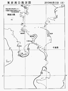 東京湾口海況図(2015/06/13)