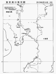 東京湾口海況図(2015/06/14)