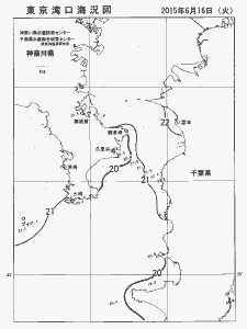 東京湾口海況図(2015/06/16)