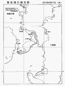 東京湾口海況図(2015/06/17)