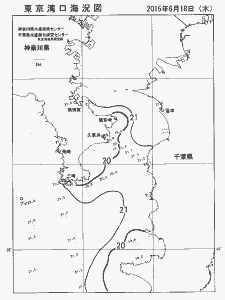 東京湾口海況図(2015/06/18)