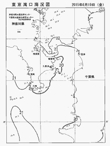 東京湾口海況図(2015/06/19)