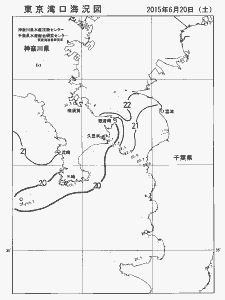 東京湾口海況図(2015/06/20)