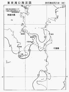 東京湾口海況図(2015/06/21)