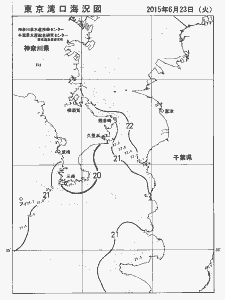 東京湾口海況図(2015/06/23)
