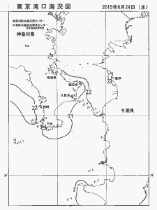 東京湾口海況図(2015/06/24)