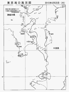 東京湾口海況図(2015/06/25)