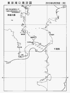 東京湾口海況図(2015/06/29)
