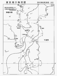 東京湾口海況図(2015/06/30)