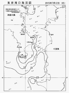 東京湾口海況図(2015/07/12)