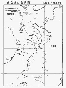 東京湾口海況図(2015/07/24)