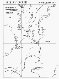 東京湾口海況図(2015/07/29)