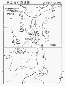東京湾口海況図(2015/08/05)