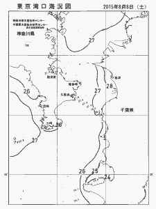 東京湾口海況図(2015/08/08)