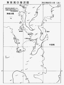 東京湾口海況図(2015/08/11)