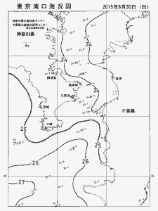 東京湾口海況図(2015/08/30)