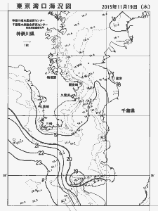 東京湾口海況図(2015/11/19)