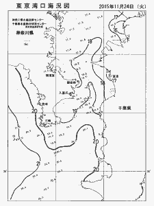東京湾口海況図(2015/11/24)