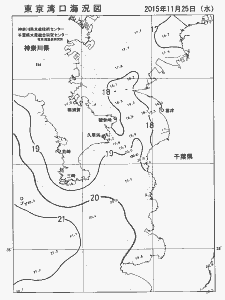 東京湾口海況図(2015/11/25)