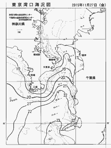 東京湾口海況図(2015/11/27)