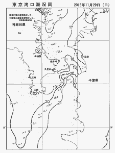 東京湾口海況図(2015/11/29)