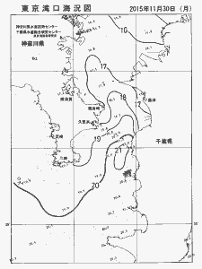 東京湾口海況図(2015/11/30)