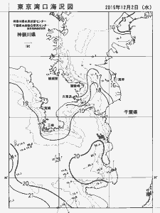 東京湾口海況図(2015/12/02)