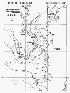 東京湾口海況図(2015/12/07)