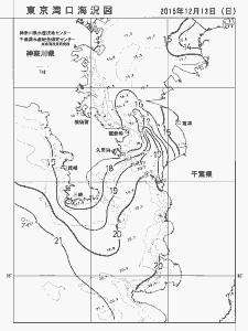東京湾口海況図(2015/12/13)