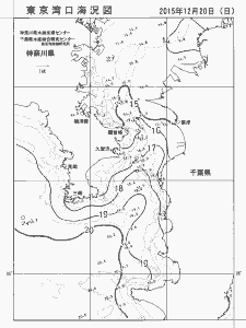 東京湾口海況図(2015/12/20)