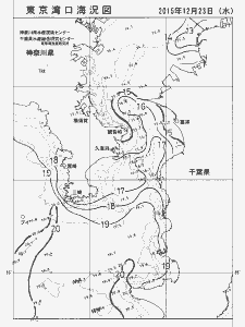東京湾口海況図(2015/12/23)