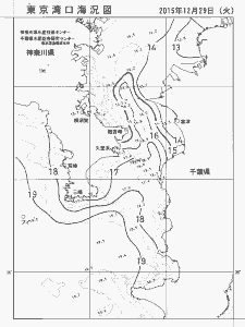 東京湾口海況図(2015/12/29)